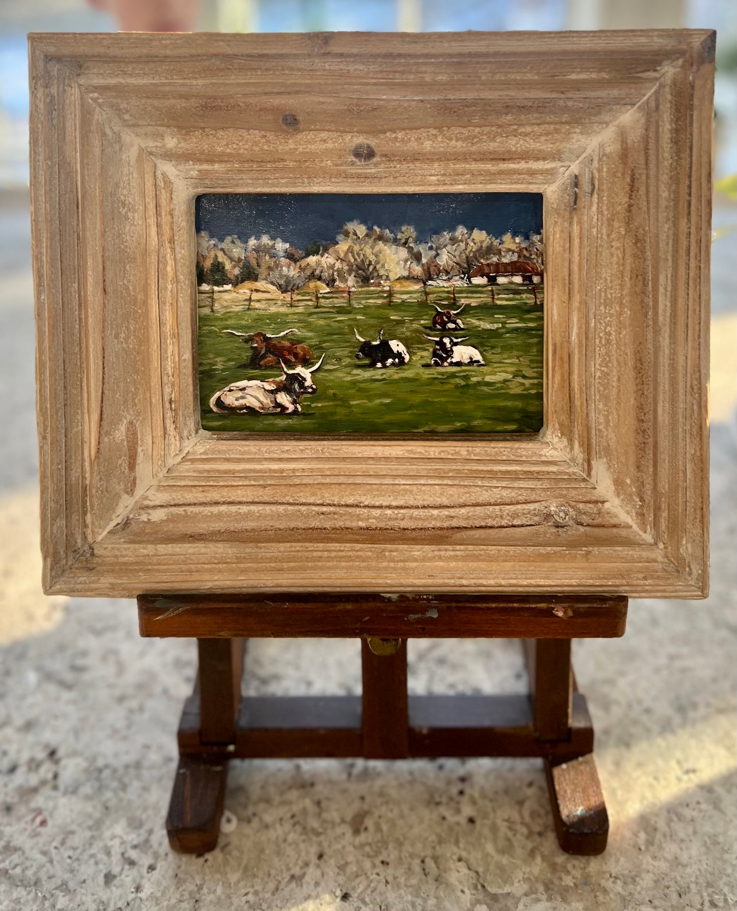 "Golden Hour at Pasture" 10x12 Oil on Canvas