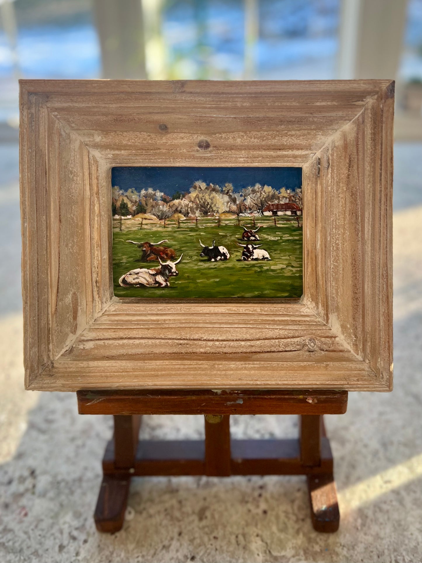 "Golden Hour at Pasture" 10x12 Oil on Canvas