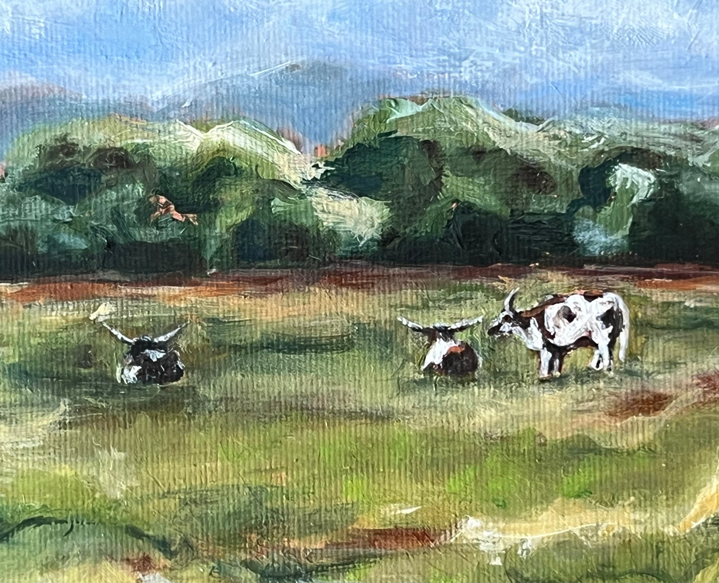 "Good Moos" 11x9 oil on canvas