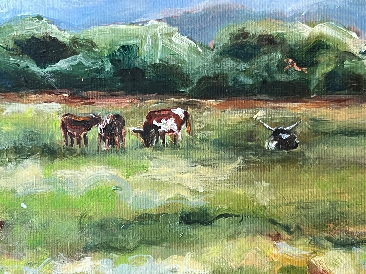 "Good Moos" 11x9 oil on canvas