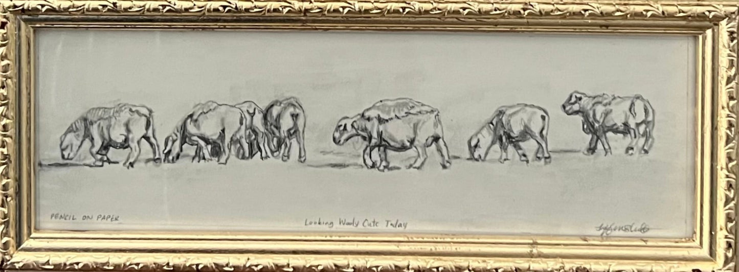 "Looking Wooly Cute Today" 5x13" original pencil sketch