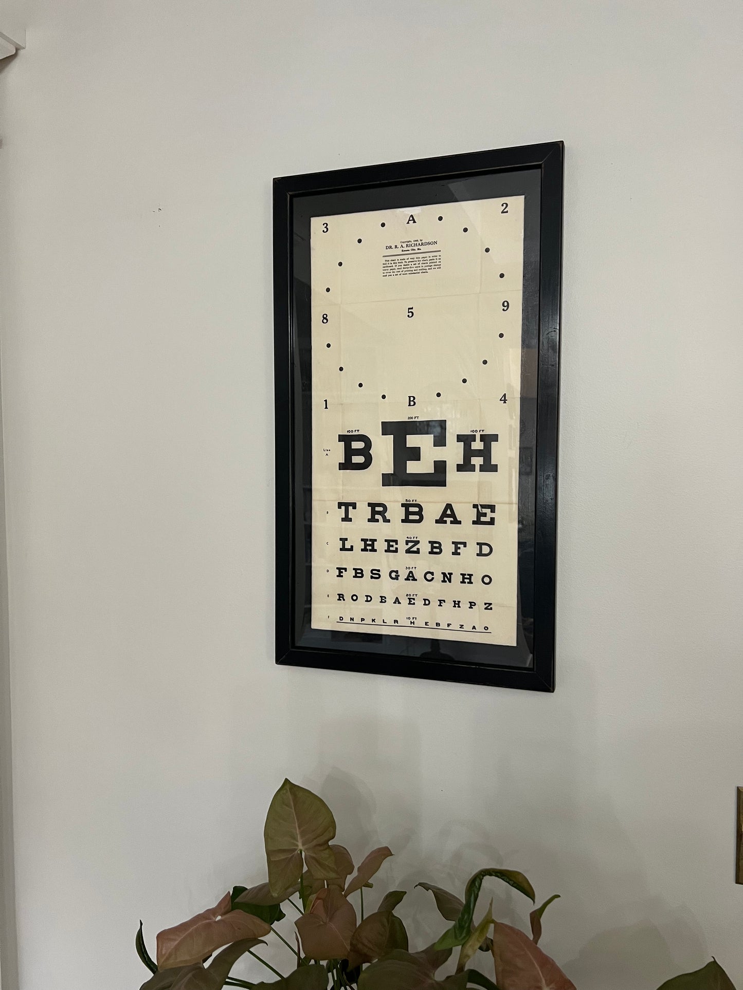 "Eye See You," 15x25.5 Framed Vintage Eye Chart